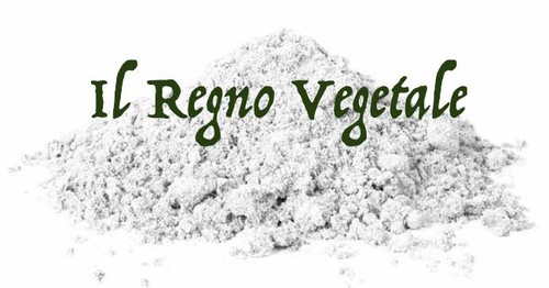 Argilla bianca polvere - argilla,