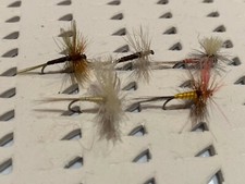 15 mosca assortite, senza