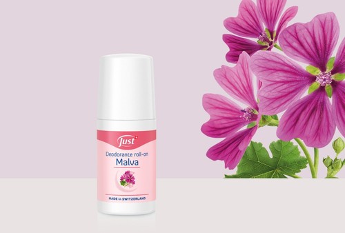 Just linea malva - just,