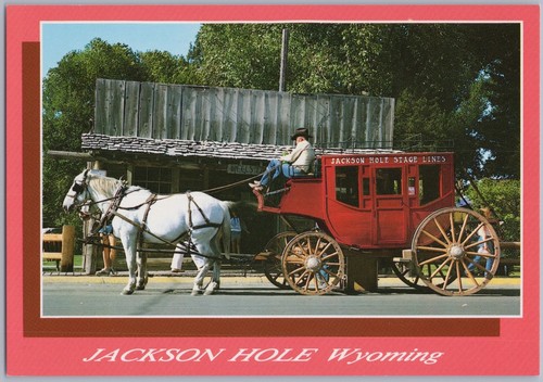 Cartolina jackson hole - jackson,