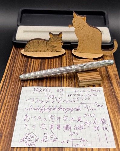 Penna stilografica parker - stilografica, 75
