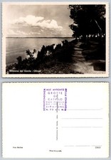 Sirmione del Garda Oliveti