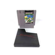 Teenage Mutant Hero Turtles