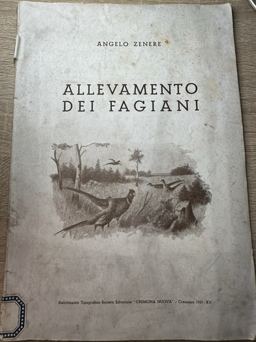 Allevamento dei fagiani - dei, fagiani-angelo