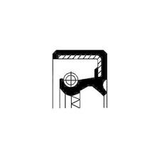 Paraolio. Pompa Iniezione