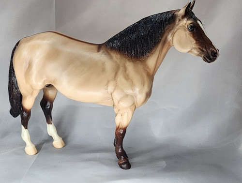 Breyera dun dorsal american - dun,