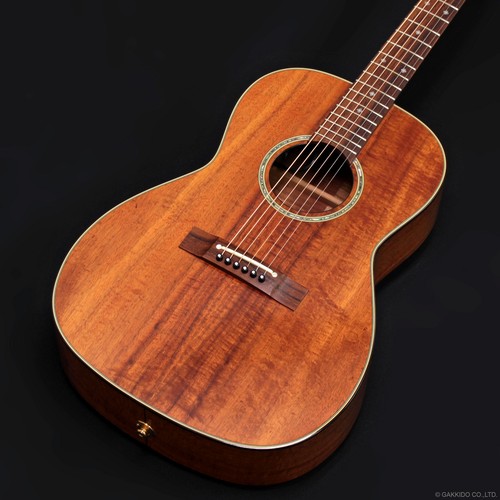 Takamine mij ptu431k - takamine,