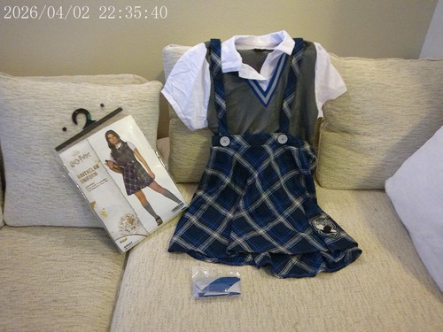 Costume corvonero harry - costume,