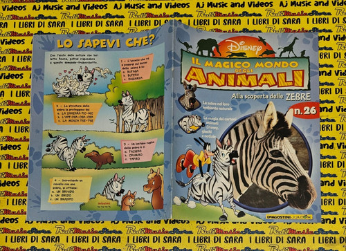 Book libro magico mondo - book, il