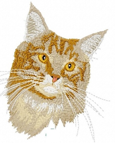 Macchina ricamo disegni - ricamo, usb