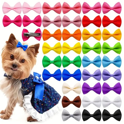 Set mini papillon - 4,