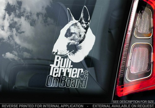 English bull terrier - english, car
