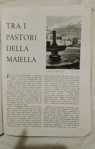 Aquila campo giove - l'aquila, di