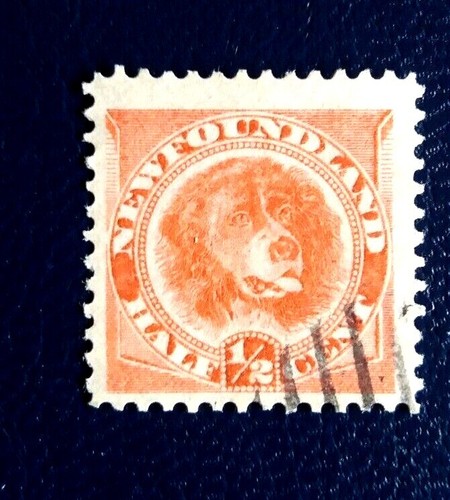 1896 terranova 2 c - 1896-, -1/2