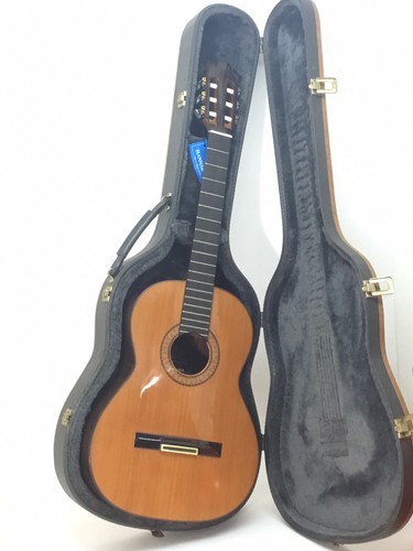 Privada p11 guitarras - privada, de