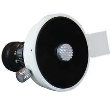 Pianta Foglia Tissue