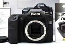 [COSÌ COM'È] Corpo