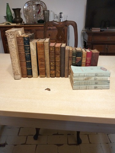 Lotto libri antichi - libri,
