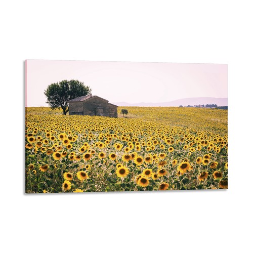 Quadro stampa tela con - stampa, su