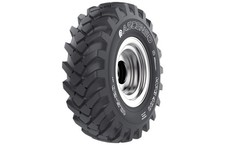 Gomme Estive Ascenso