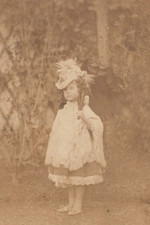 Le treillage Pierre-Louis