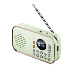 Radio FM Portatile Ricaricabile Piccolo Altoparlante Wireless Bluetooth Suo3019