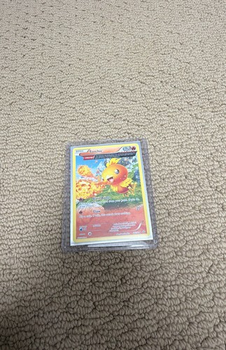 Torchic 160 - xy,
