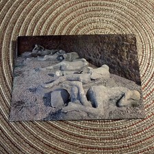 CARTOLINA COLORI COLLEZIONE