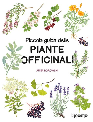 Piccola guida delle - , piante