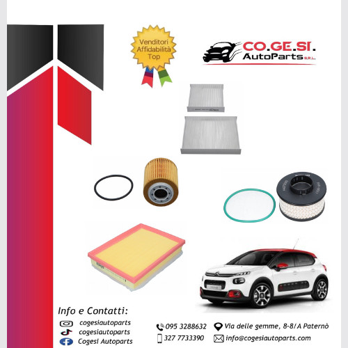 Kit tagliando filtri citroen - filtri,