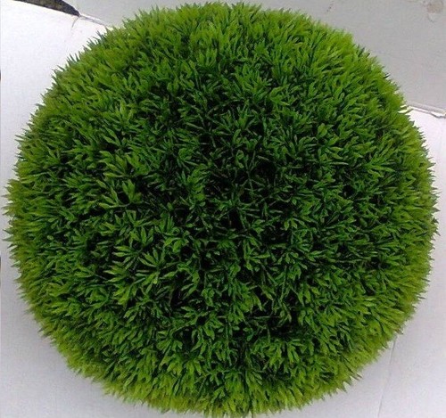 Sfera bosso erba verde - sfera, di