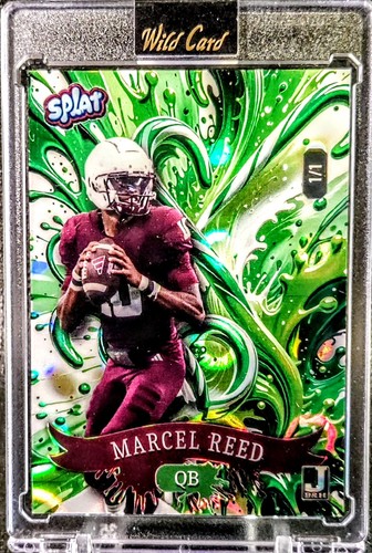 2025 wild card holiday splat - 2025,