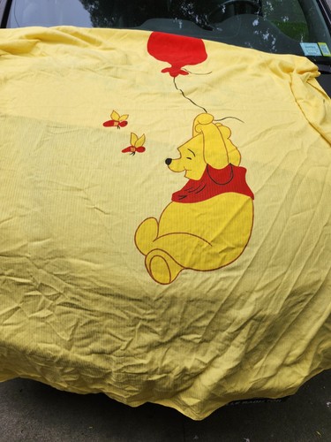 Winnie the pooh coperta - the,