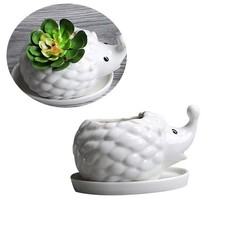  Vasetto Piante Grasse Vaso