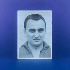 #412 Kiddy Colonia Coppa del