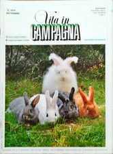 Vita campagna settembre - vita,