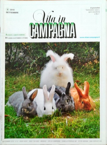 Vita campagna settembre - in,