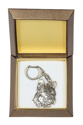 Bulldog francese - i,