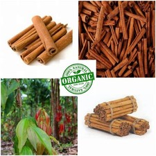 Bio Ceylon Migliori Bastoncini