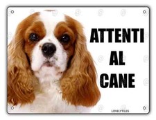 Cartello Attenti al cane