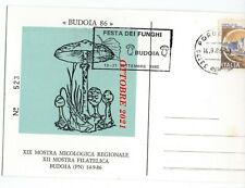 BUDOIA 1986 LEPIOTA PROCERA TARGHETTA FUNGHI PILZE MUSHROOM CHAMPIGNON SETAS POR