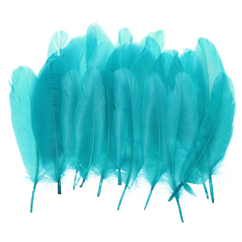 Piume oca naturali per - 4-6",