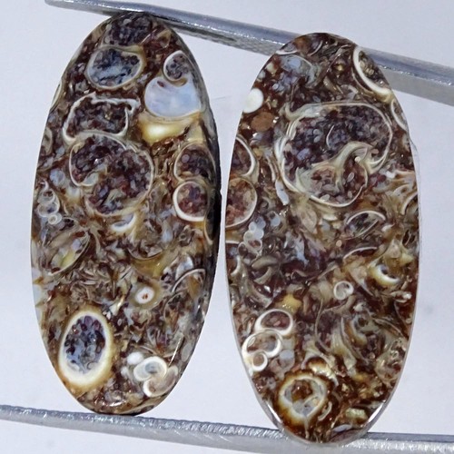 Coppia cabochon - 24,40,