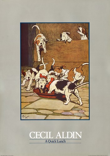 Jack russell parson fox hunt - jack,