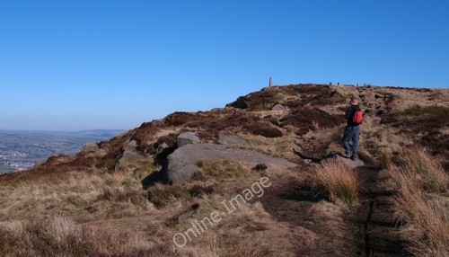 Photo 12x8 walking - walking, to