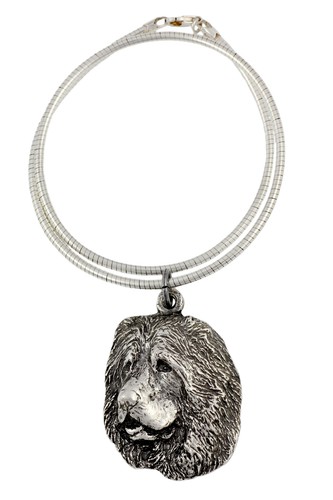 Cane pastore caucasico - cane,