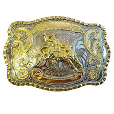 Stunning western bull rider - western,