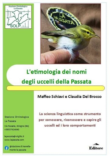 Etimologia dei nomi degli - nomi,