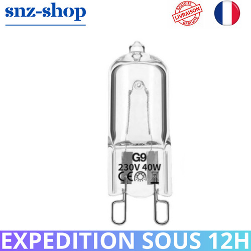 Lampe halogène culot - 2x,