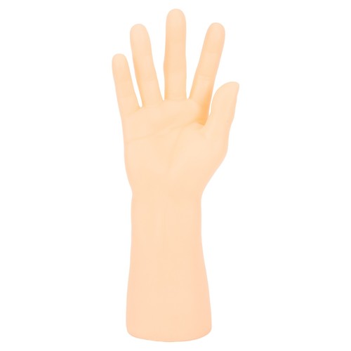 Mano modello 17cmx30cm display - 17cmx30cm,